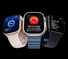 Apple Watch 现在测量心率的频率比以前高出 60 倍。