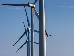 翅膀放在哪里?好点子堆积如山。(图片:pixabay/fotoblend)