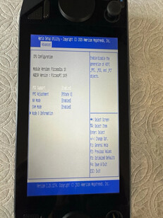 (图片来源：eBay）