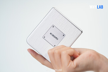 (图片来源：WhyLab）
