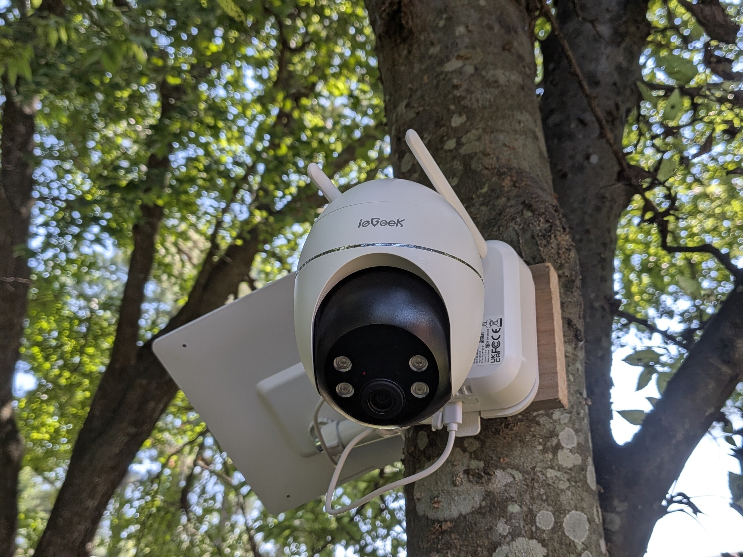 ieGeek S7 已准备就绪