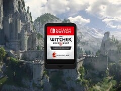 图中所示的 The Witcher 3 Complete Edition Switch 卡带