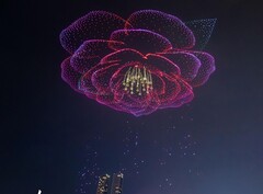 魅力重庆一景：山茶花花瓣；重庆的市花（图片来源：SB News；经裁剪）