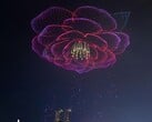 魅力重庆一景：山茶花花瓣；重庆的市花（图片来源：SB News；经裁剪）