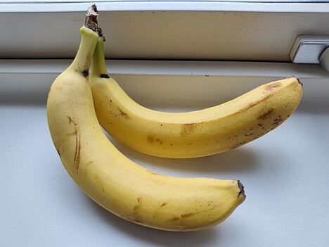 使用主摄像头拍摄