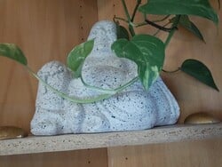 前置摄像头拍摄的照片