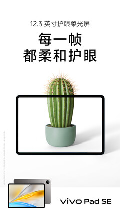 (图片来源：vivo）