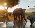 Planet Zoo 2 将于 10 月 13 日推出,尚未发售就已跻身 Steam 收入最高的游戏之列。