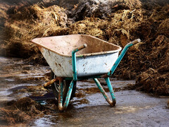 粪便和泥浆中蕴含着价值,你只需将其取出。(pixabay/Antranias)