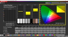 CalMAN ColorChecker 已校准（配置文件：sRGB，目标色彩空间：sRGB）