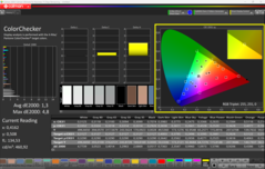 CalMAN ColorChecker（sRGB）