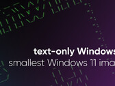 Tiny11 开发人员将 Windows 11 简化到最低限度（图片来源：NTDev）