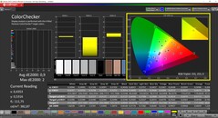 CalMAN ColorChecker（配置文件：默认，目标色彩空间：P3）