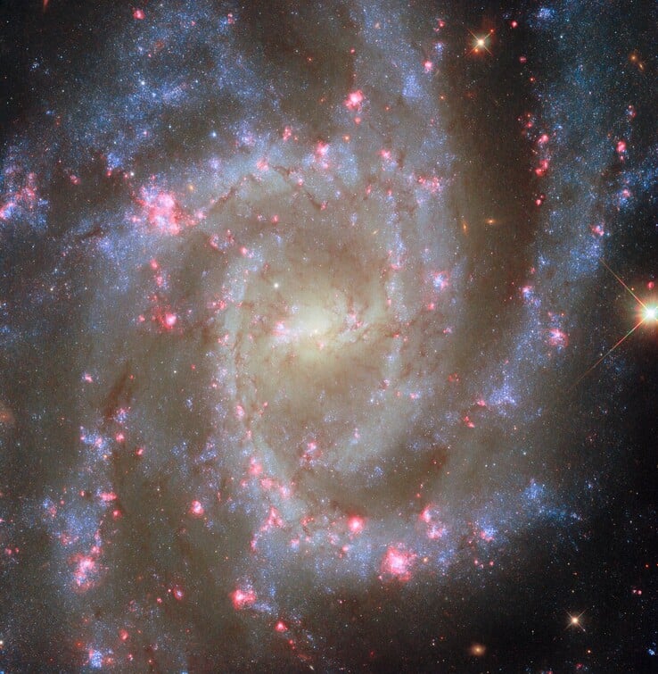 NGC 2835 的 POTW 图像（图片来源：欧空局、美国国家航空航天局、R. Chandar、J. Lee 和 PHANGS-HST 小组）