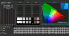 已校准的CalMan ColorChecker