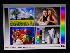 宽广的 OLED 可视角度