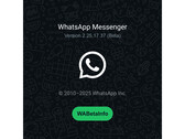 带有繁忙绿色背景和 WhatsApp 徽标的闪屏，其中提到了最新 beta 版本的编号。(图片来源：@WABetaInfo on X）