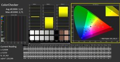 CalMAN: ColorChecker (已校准)