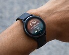 Garmin 的 vivoactive 6 智能手表（如图）正在接受新的稳定更新。(图片来源：Garmin）