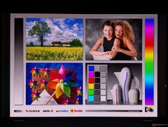 宽广的 OLED 视角