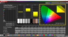 CalMAN ColorChecker（轮廓：P3，目标色彩空间：P3）