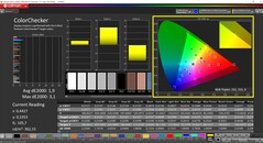 CalMAN ColorChecker（配置文件：原生，目标色彩空间：P3）