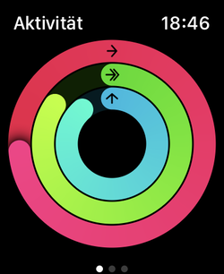 三个活动环分别代表运动（红色）、训练（绿色）和站立（蓝色）。