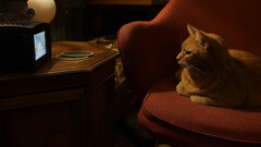 贝基-斯特恩为她的猫制作了一台由 Pi 5 驱动的 3D 打印电视（图片来源：YouTube 上的贝基-斯特恩）