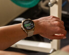 Fenix 8 是正在等待 v17.xx 稳定版更新的几款智能手表之一。(图片来源：Garmin）