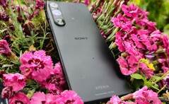 索尼 Xperia 智能手机目前是所有现代智能手机中软件支持时间最短的。(图片来源：Notebookcheck）