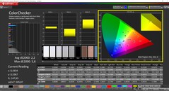 CalMAN ColorChecker（配置文件：默认，目标色彩空间：P3）
