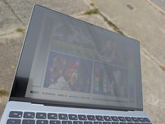 在明亮的阴天下的户外