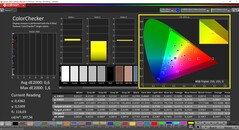 CalMAN ColorChecker 已校准