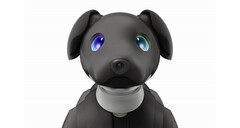 新款 aibo Espresso 版。(资料来源：索尼）