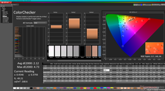 校准前的ColorChecker