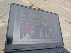 在明亮的阴天下的户外