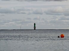 10 倍（230 毫米）