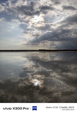 vivo X300 Pro:照片样本