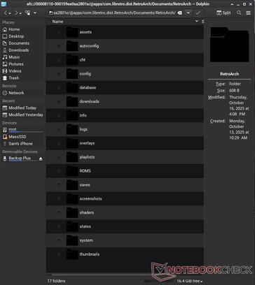 你甚至可以访问特定应用程序的文件，如 RetroArch。 