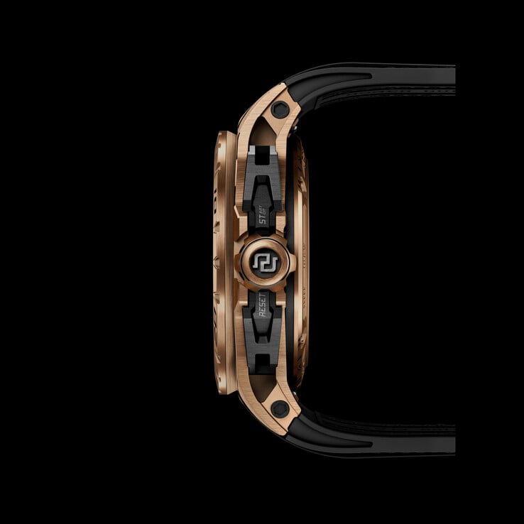 (图片来源：Roger Dubuis罗杰杜彼）