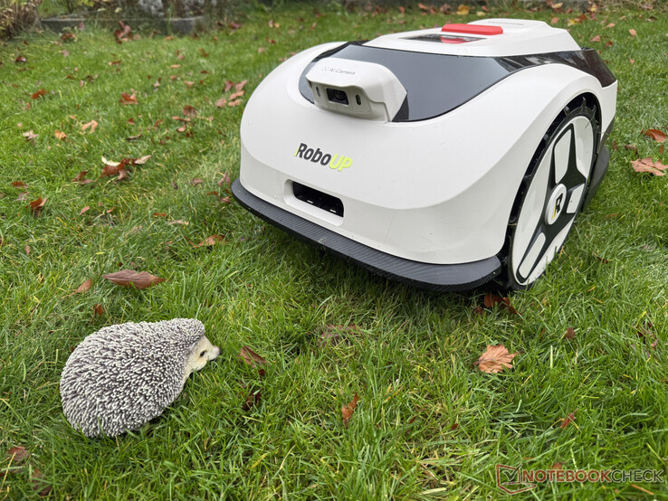 在测试中，浣熊 2 SE 并不总能识别我们的刺猬假人