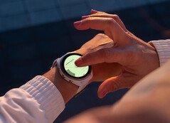 自去年年底以来,Forerunner 965 一直没有稳定更新。(图片来源:Garmin)