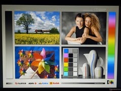 宽广的 IPS 视角