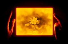 Daylight Tablet 使用反光 LCD 来保护眼睛。(图片:日光平板电脑)