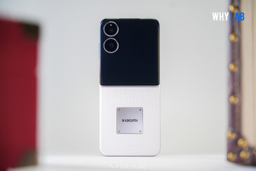 (图片来源：WhyLab）