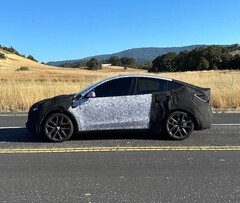 身着试验骡伪装的 2026 款 Y 型车。(图片来源：ConfidentImage4266/Reddit）