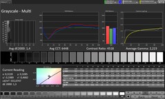 灰度（配置文件：专业，目标色彩空间：sRGB）