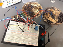 两个蘑菇存储单元连接到 Arduino UNO 微控制器开发板上进行测试。(图片来源：LaRocco, J. et al.）