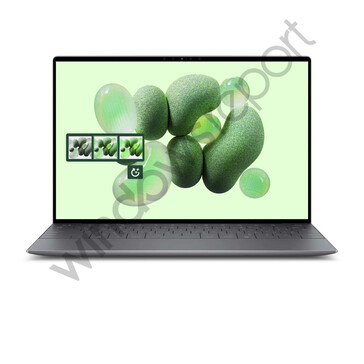 (图片来源：Windows Report）