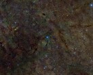 显示星际介质 X 射线硫部分的合成图（图片来源：DSS、DECaPS、eRosita 和 NASA；已裁剪）